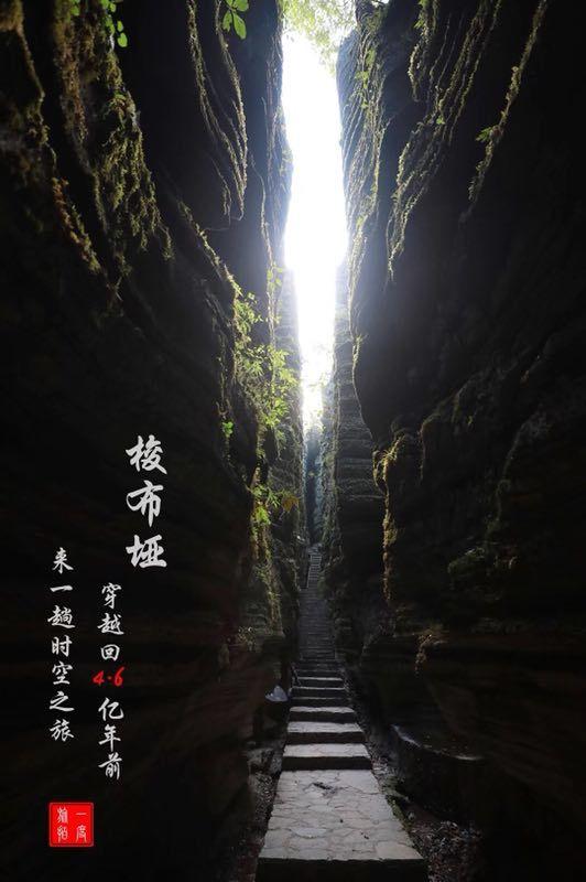 2024吉林两会·特别聚焦|“厅局长通道”开启,听!吉林奋进的声音