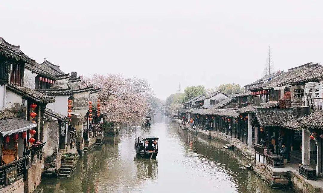 《木筏求生》河豚位置